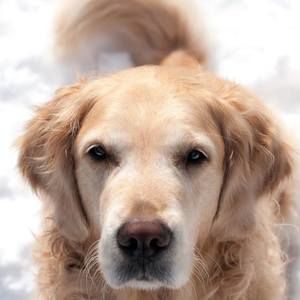 Meet your Posher, Joanne